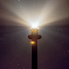 AA019A